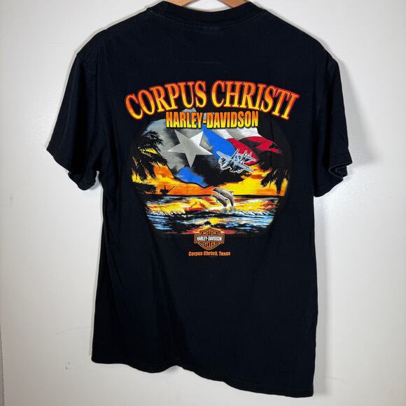 Harley Davidson Pink Logo Texas Sunset Graphic Corpus Christi Tee Black Large - Picture 2 of 7